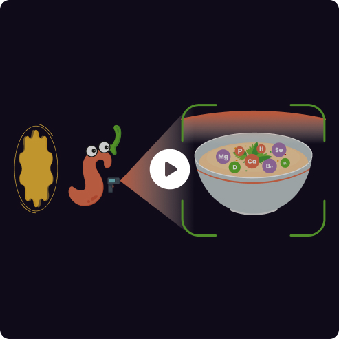 splash-screen-animation2